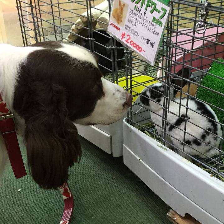 452aa75c b5da 464f b2e6 27713d8e6e20