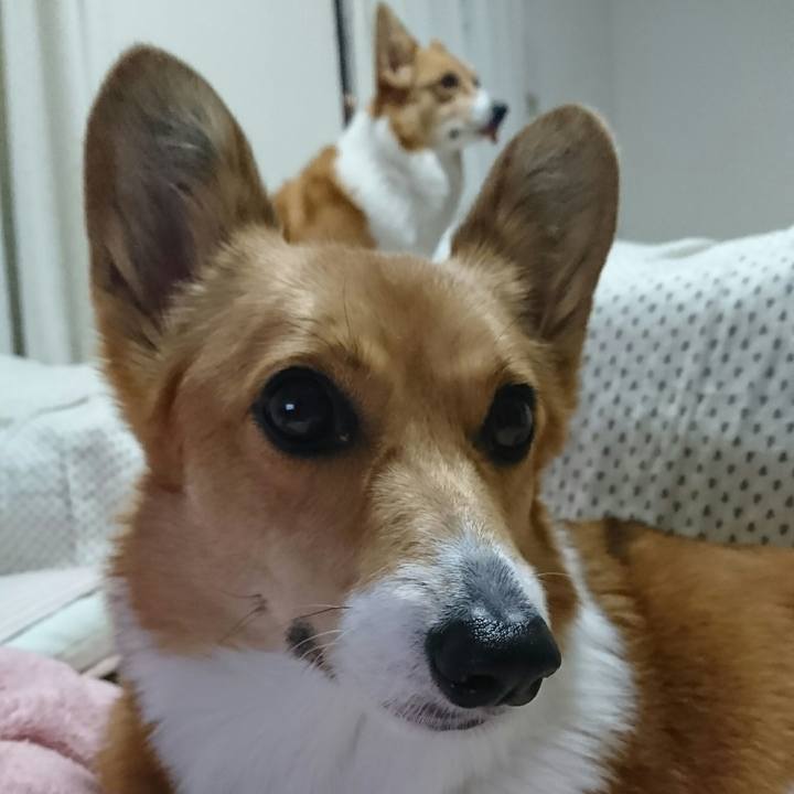 452b2dff 9b99 4b5d b5e6 ff371463209f