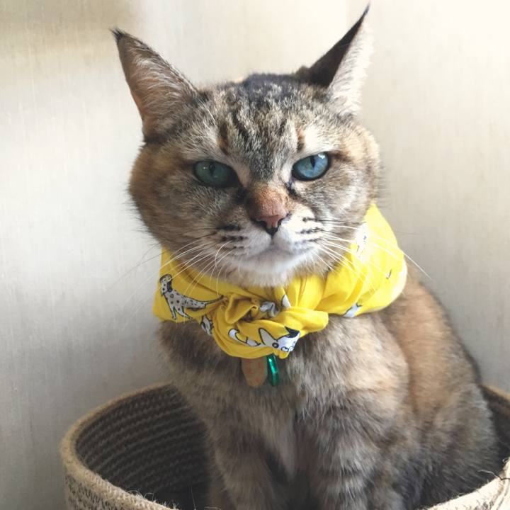 452c0a24 c7c3 4dc7 9c98 773a1cf09e97