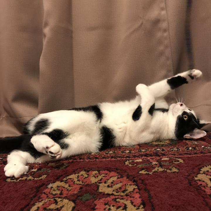 452c2c62 d677 4b4b 86be 5be7efcad969