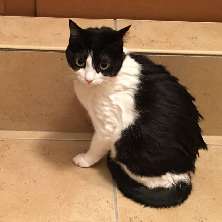 452c8f97 9deb 494d 9fb2 5d77f4b2f372