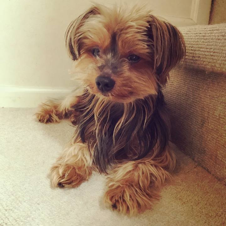 452cc04e 90be 4754 9083 945b333bc7b5