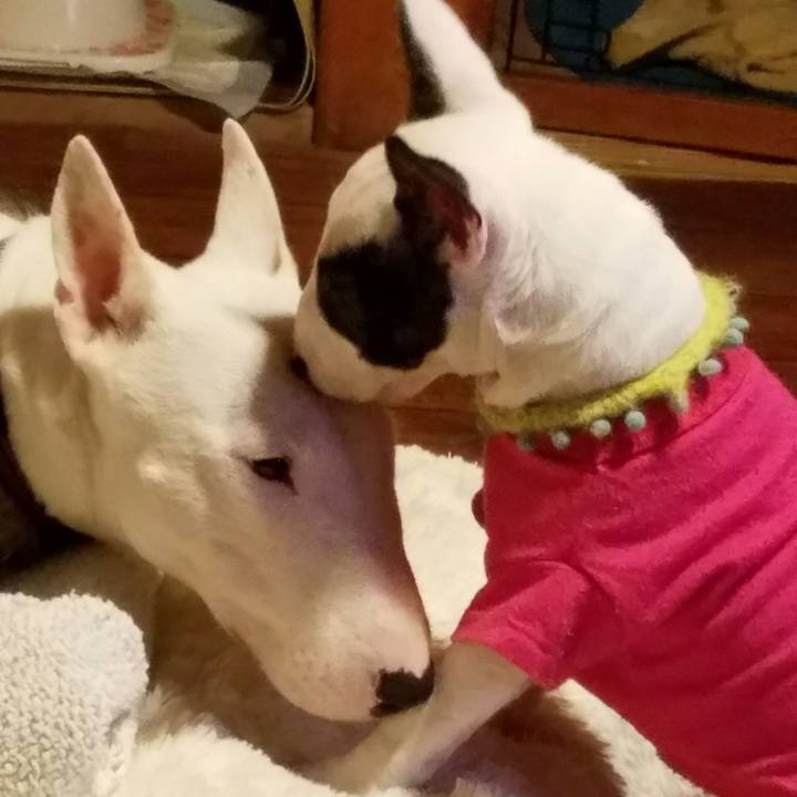 452d55b6 174a 46b2 a9bd 4b481523118f