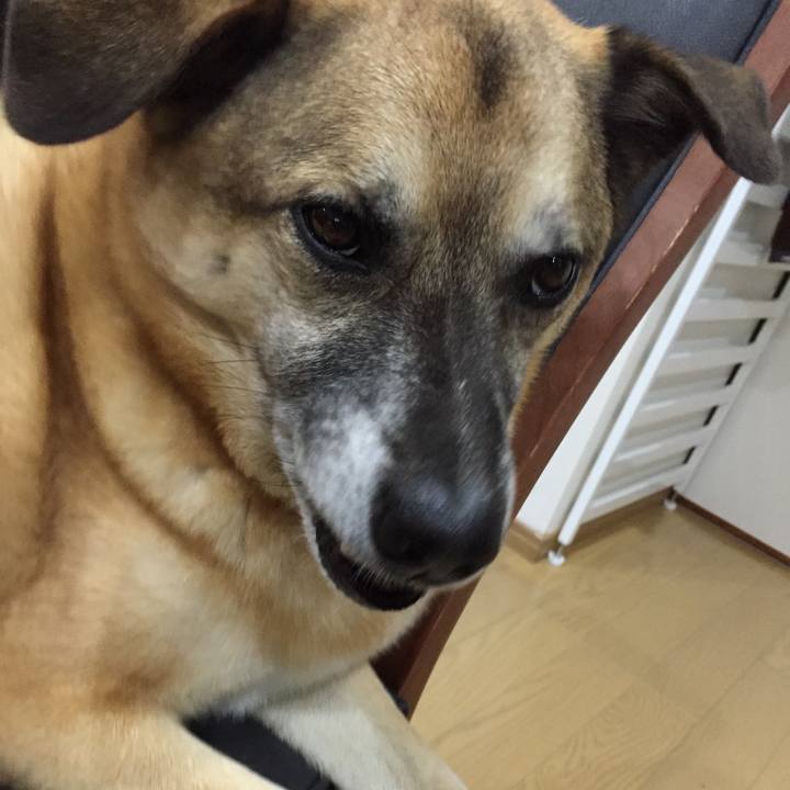 452dc85e 6330 433d 8426 488393c4e49e