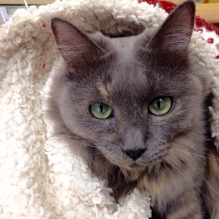 452e0784 d457 4301 b95f 945a2cdd9fa6