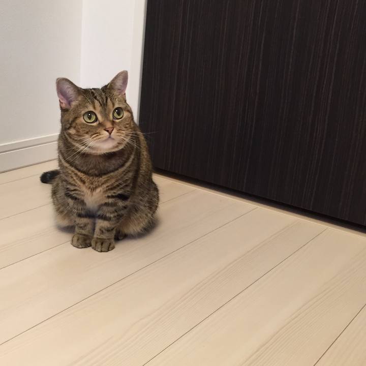 452eebff bd12 433e 8d5e 8cc11bec944c