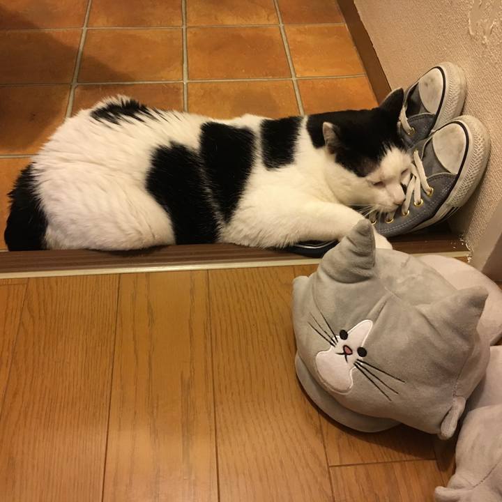 452f7713 ced6 4d14 bb2f 326d13ca24d5