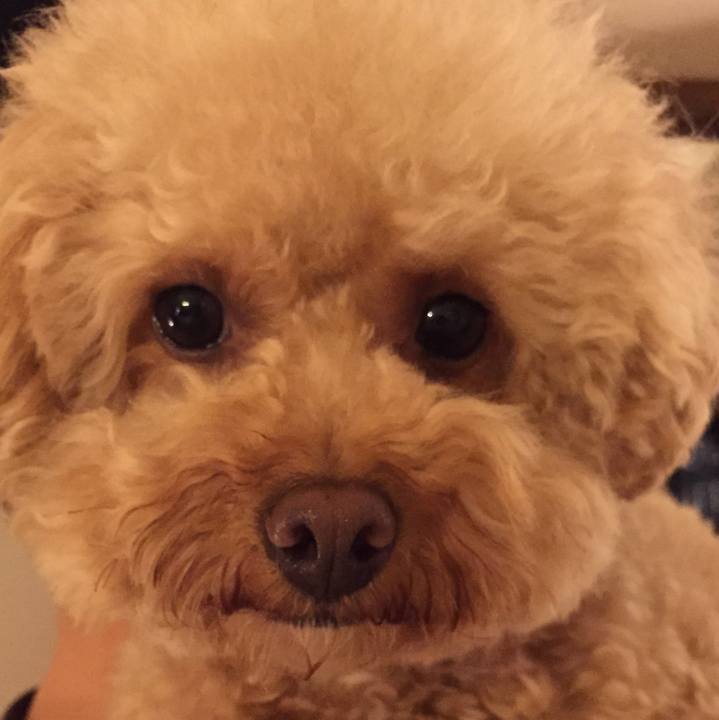 452fbc39 62db 42a9 9bc1 be7b2a068968