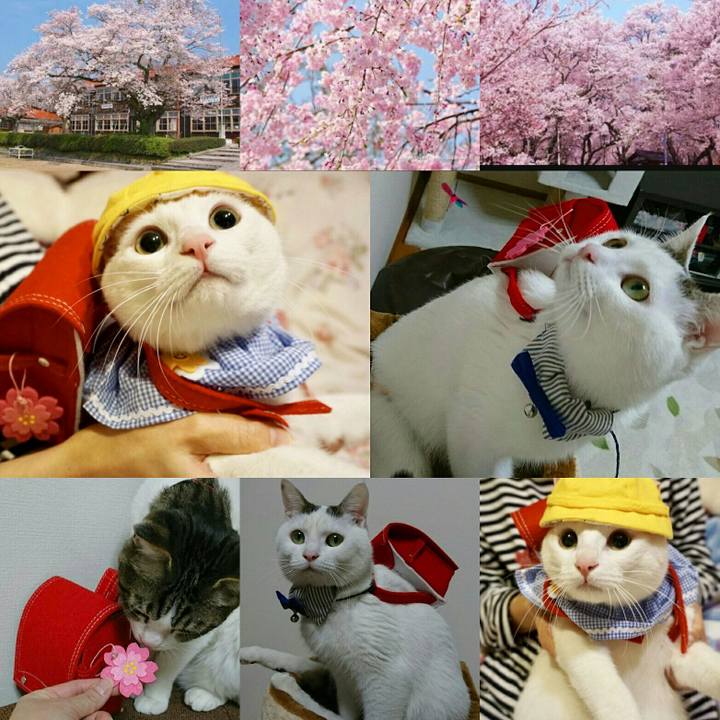 452fe3f4 d338 4459 aca1 bbfe967c18ef