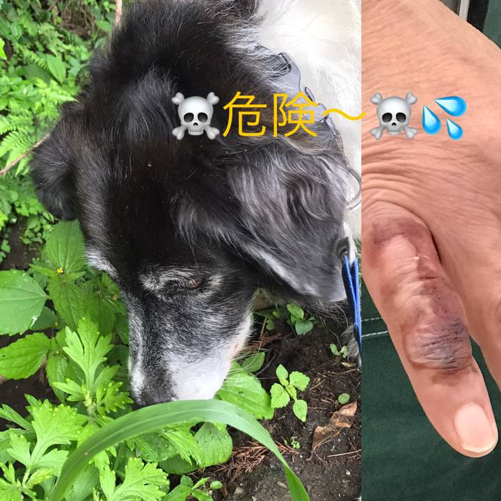 45304692 55a1 4036 ab2e 5a5dc6dcaa8f