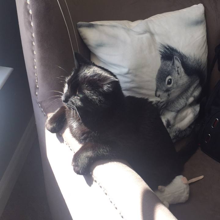 4530fde2 df2b 44c4 8543 fb2b0636b107