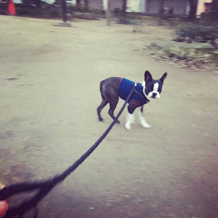 45324263 6939 44a1 91ba 80c1b56d21bb