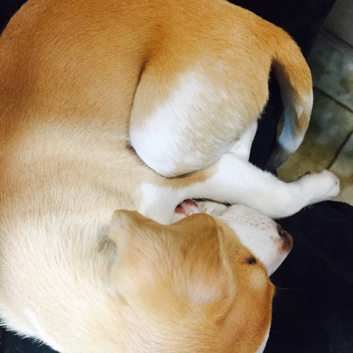 4532bc6f deed 4155 bfe2 02833b2e9fcc