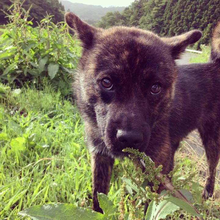 4533589b 06bf 4ba1 9ad6 dfbd03d0ed45