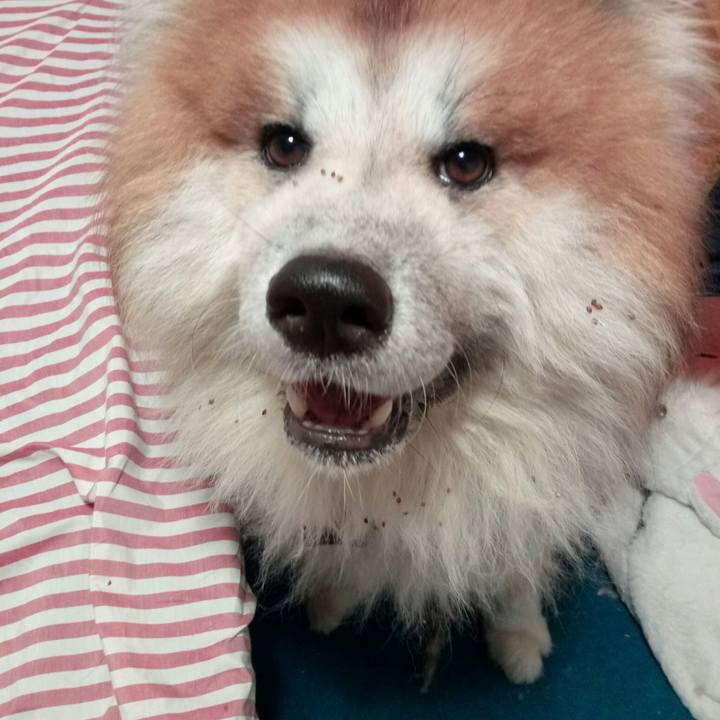 45339d84 499c 464a a974 514f2faa311d