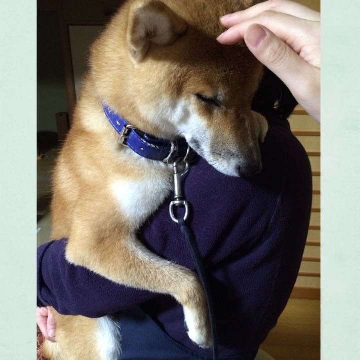 4533e5a2 b0aa 4450 82a4 541d4920df80