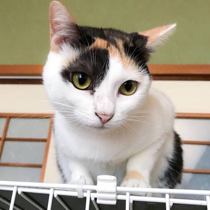 45348918 3214 4109 ad40 66f621dc6bc4