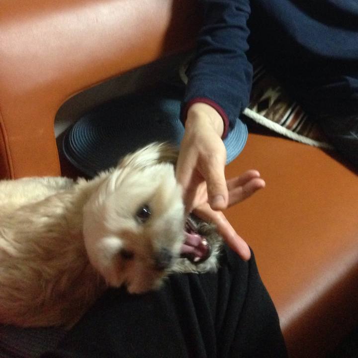 4534c972 1803 4074 aa10 0e0fdfd97591