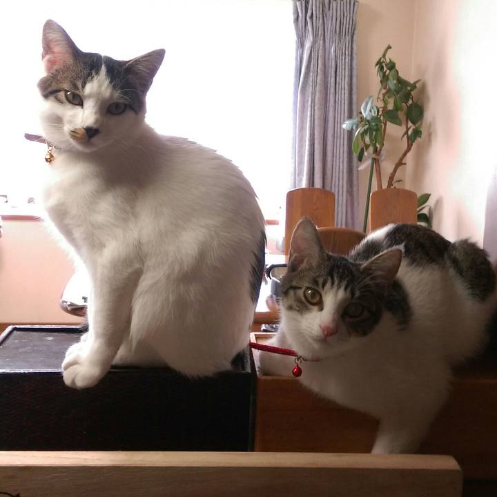 45358fdb 937d 4c28 900b c0da6548d9c4