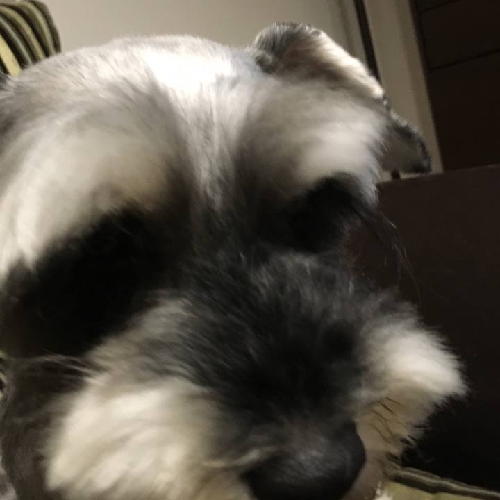 4536b012 a999 4c99 9bcc 3f600858eef4