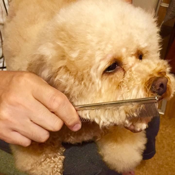 45371332 8134 4d1c 8e4e 371835ef3716