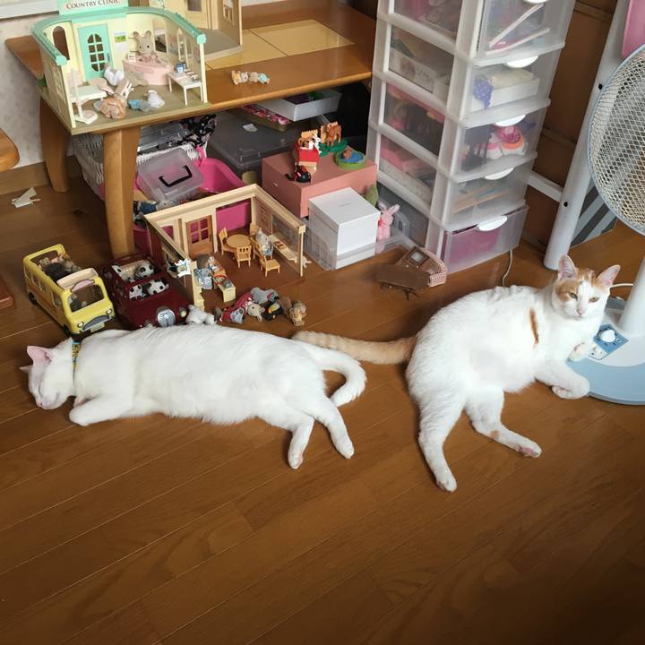 453747b2 7b89 4af7 8365 1471e591769a