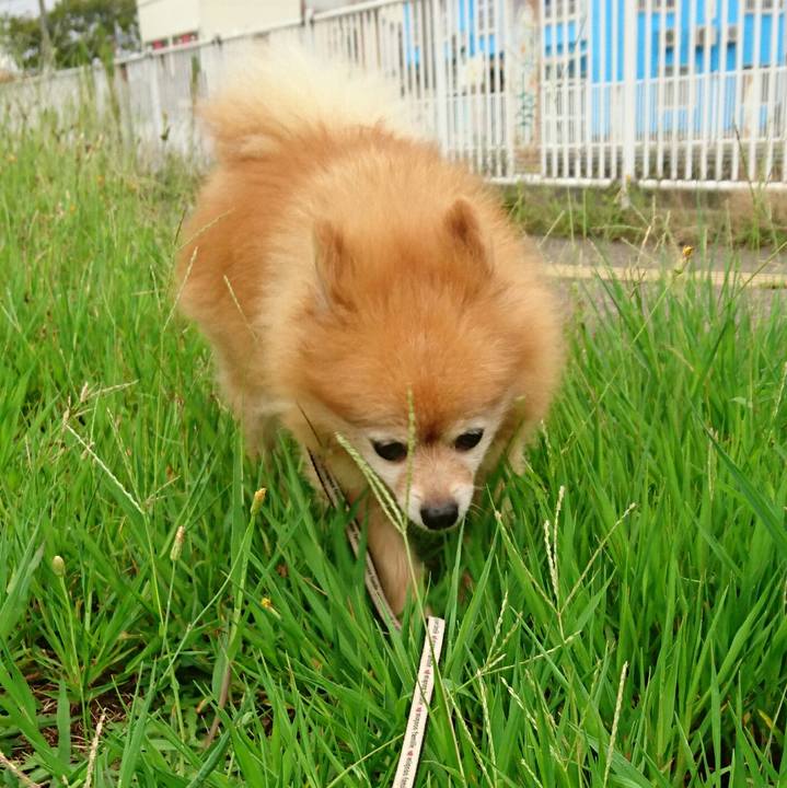 453943a4 f487 4b42 9d23 3cd92d38e509