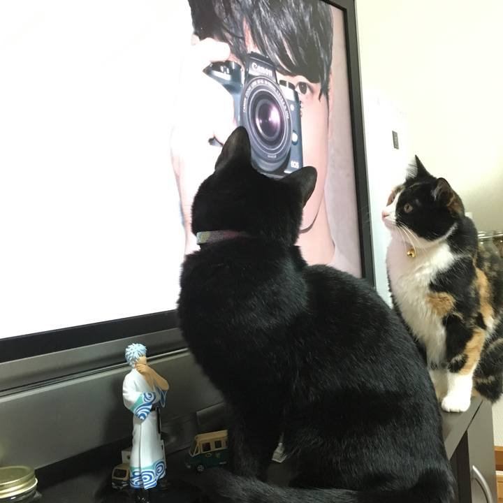 453956f2 0771 4fbb 9bb2 f123d479c36e