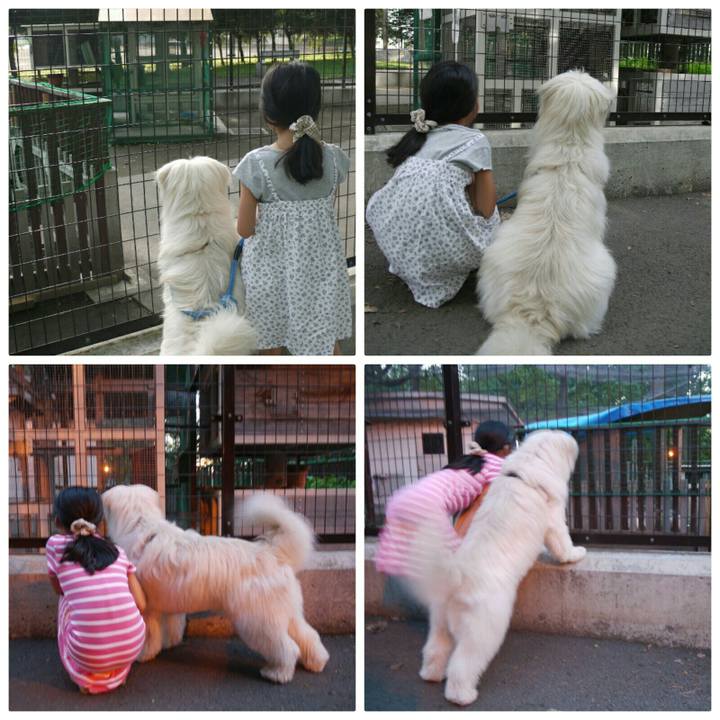 453af88f 1c1f 4537 83f2 c6f78edbc099