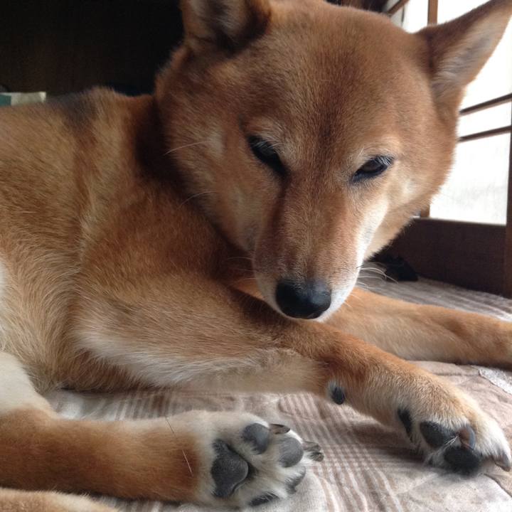 453b28c0 7610 47c8 8adb f2ef33075309