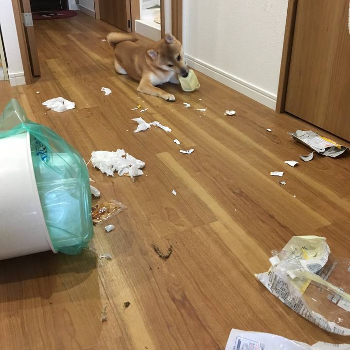 453c9613 805e 46f1 b64b 68f8c6917828