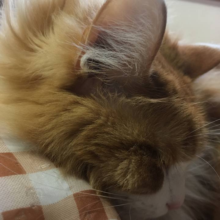 453cdadb a1de 4800 8c1e 20bc590ad853