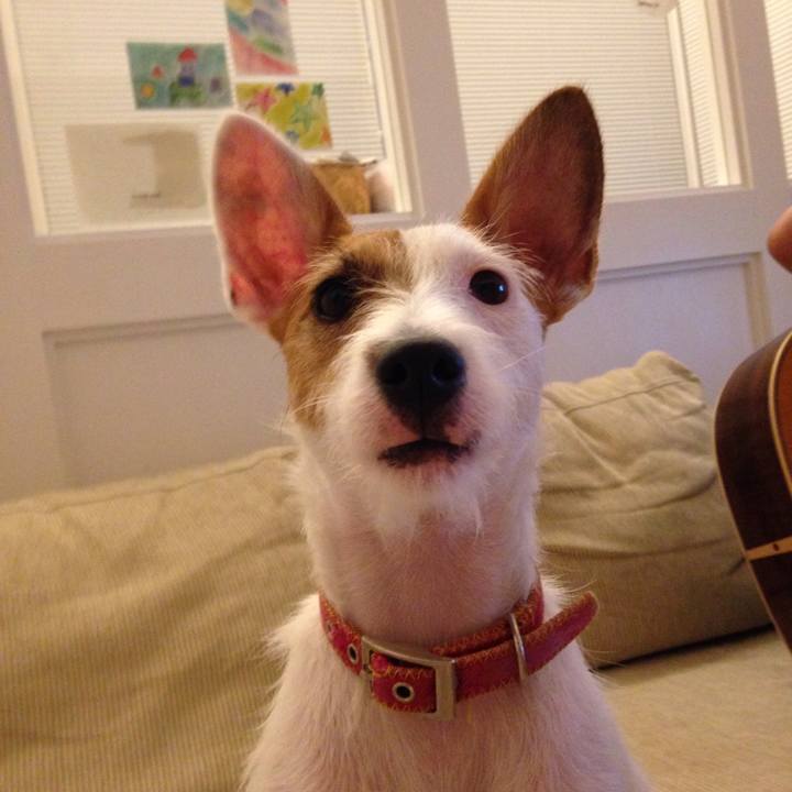 453cdd4e 2973 4db4 ad2e 00170a5a506c