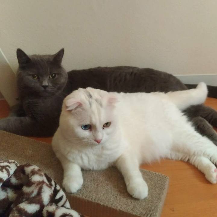 453d81f7 5b29 403c 87e2 092aea51ce72