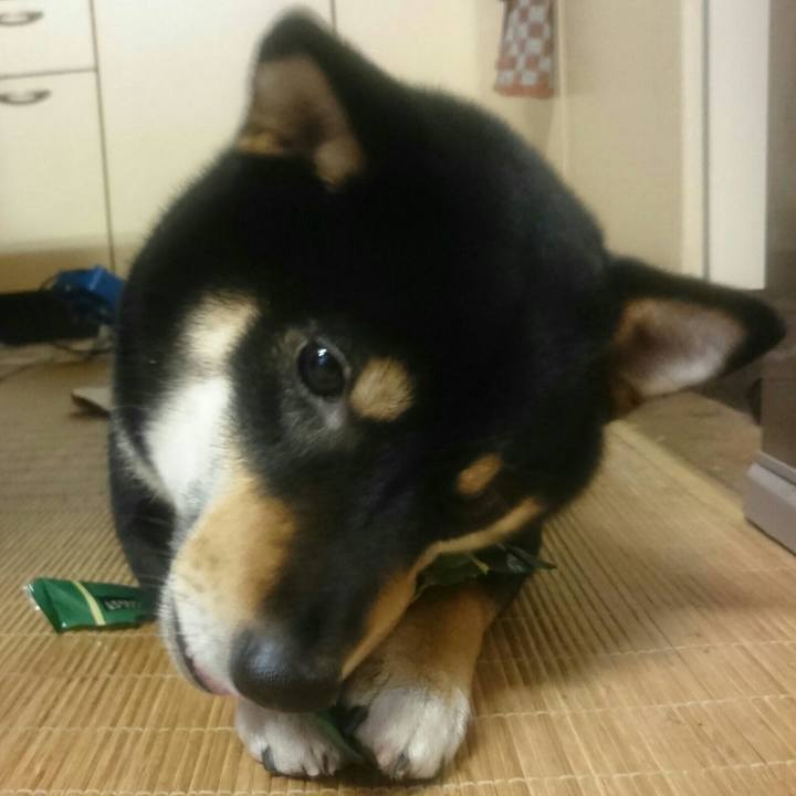 453fedb7 9c11 434e 9db4 71893e9cfa76