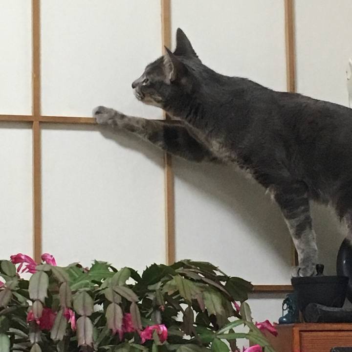 45406457 8d0a 47a0 8cc6 d07f3bbe970d