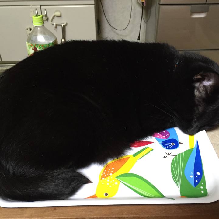 45425eb4 92a2 469e aa54 6a6fafb5d1b3