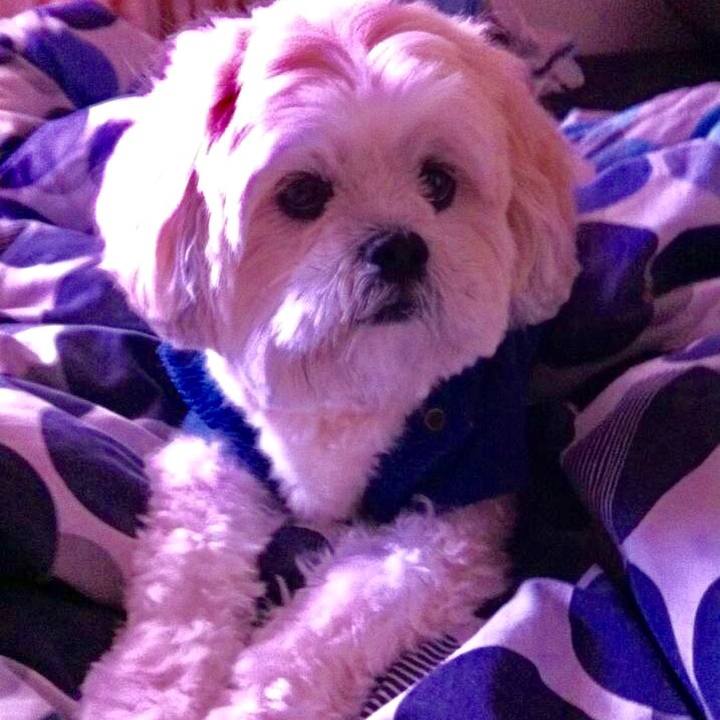 4542ca2d 1c4e 4dfe aafa aaad32f533fb