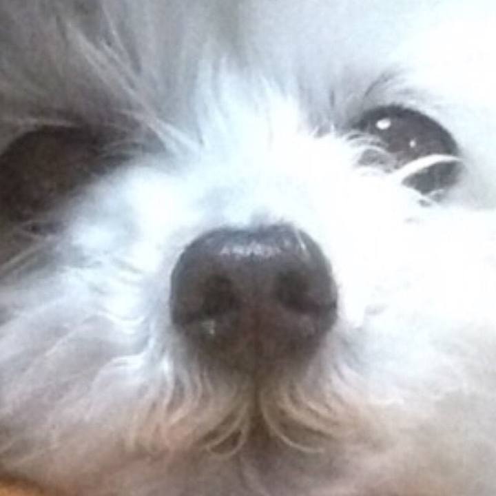 4542f63e c0ac 4739 bc77 04f3c1054adf