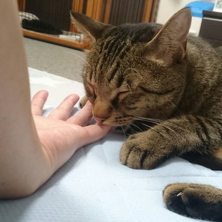 4543387b 1208 4bdc 80c5 86774ff4f1f3