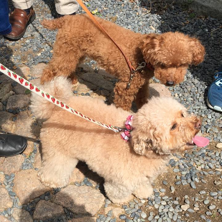 45433db2 12b8 4173 ba7e 444a406b2ba1