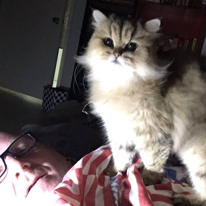 45434c18 e32a 404c 8c5e ccee22661be2