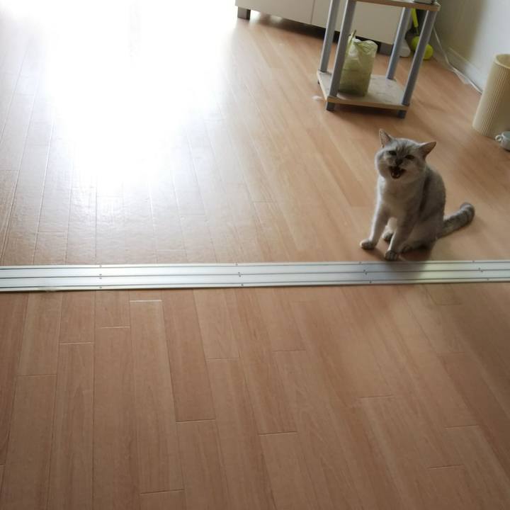 45436c77 ebb1 4fa6 968f 758c240bc9e2