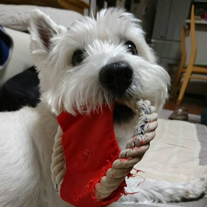 4543e054 d2dd 4519 a275 afe8033fca12