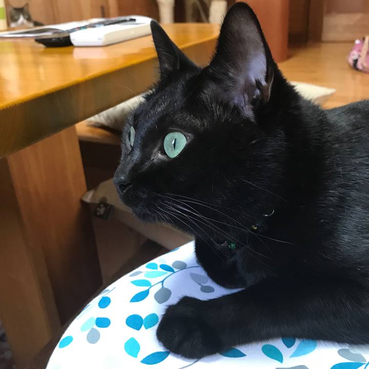 4543f8cb 9567 4c8f 87e4 e3fac9d31910