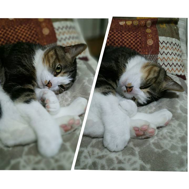 45442971 1e32 4fa3 89b4 5e2186551617