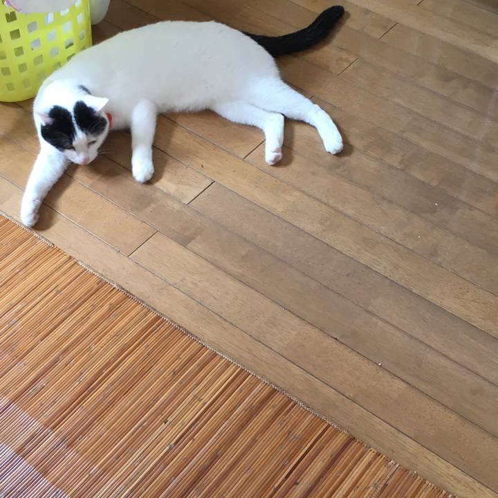 4544e141 73ee 4ef1 95a9 6a7f7dc8a662