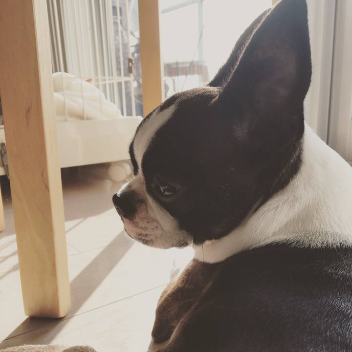 454507db a635 4966 a200 79f5940c93d4