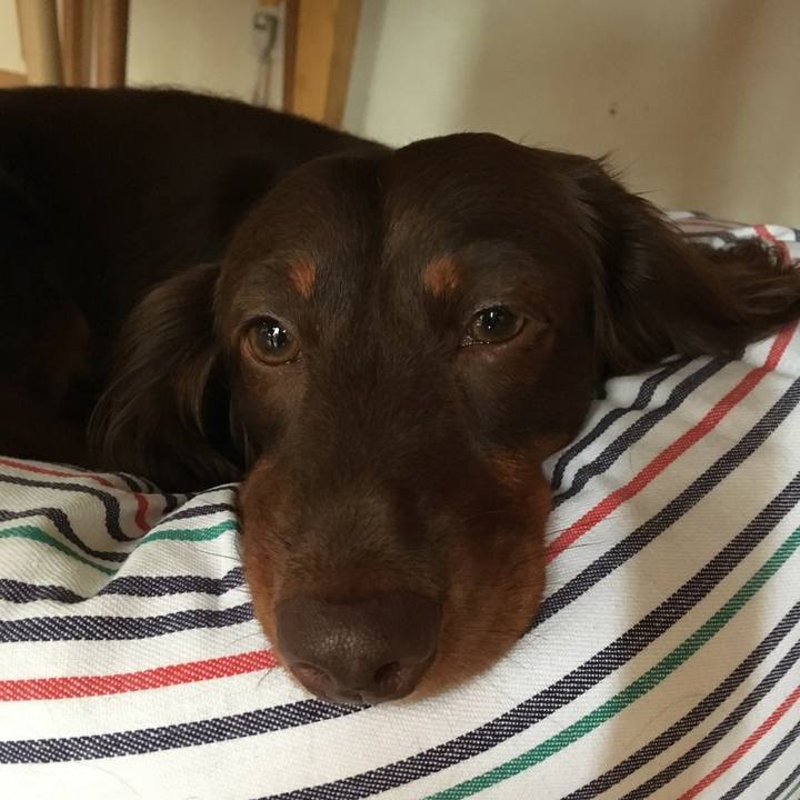 45458394 b767 4435 bfe9 280a50699873