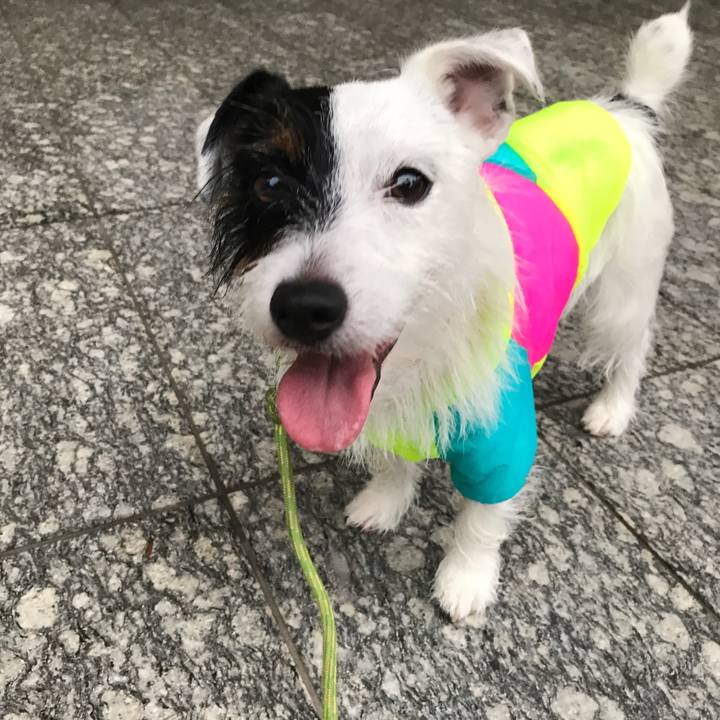 454592ae 227a 4d2a 95e0 0c38c29730b1